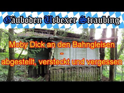 🏡  Lost Place 🐳 Moby Dick an den Bahngleisen - abgestellt, versteckt und vergessen # 062