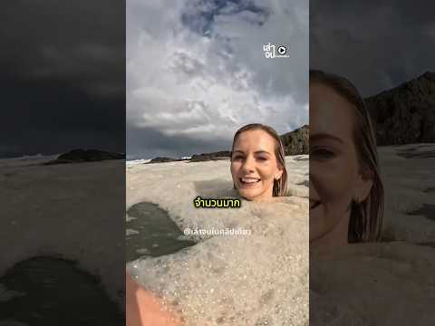 ฟองคลื่นทะเลที่เห็นคืออะไร?🤔