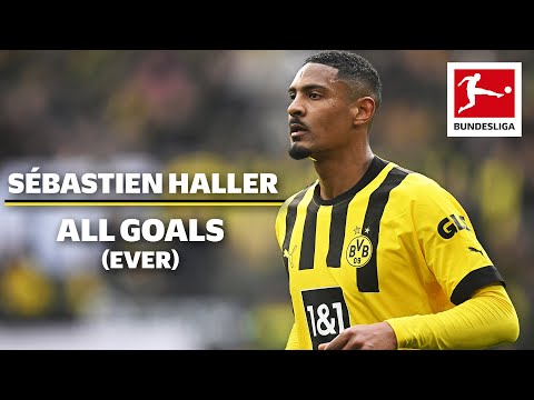 Sébastien Haller - All Bundesliga Goals