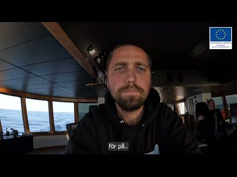 poster-bild för video