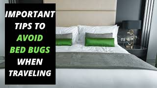 Prevent Bed Bugs When Traveling (5 Easy Tips)