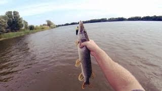 Ловля щуки на воблер с берега