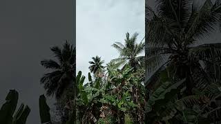 Download lagu #tangisan#yang di benci alloh mp3