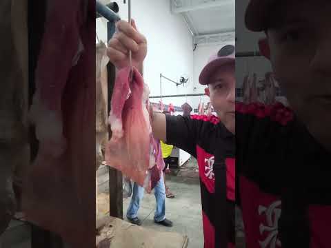 TEM CARNE DE BODE NA FEIRA DE AROEIRAS PARAÍBA 12/09/2026