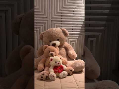 ? Carlinhos Maia Com suas travesduras?se #shorts #carlinhosmaia #reidoinstagram