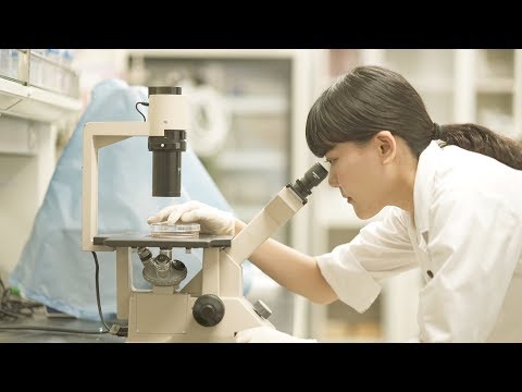 東洋大学大学院 食環境科学研究科 紹介動画