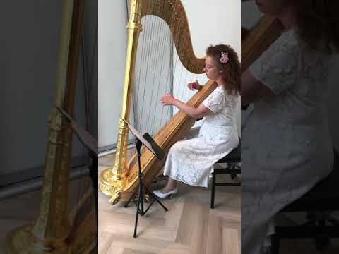 Gluck, Christoph Willibald - Dance of the Blessed Spirits from Orfeo ed Euridice