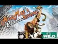 The Wild AniMat S Classic Reviews