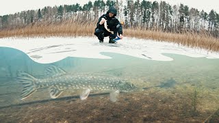 Жерлица зимняя akara 36005 1 диаметр 18 см на подставке
