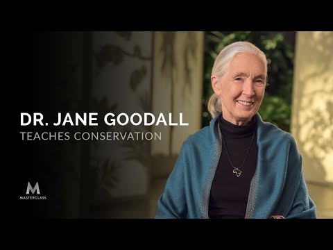ジェーン・グドールが教える自然保護｜公式予告編｜マスタークラス (Dr. Jane Goodall Teaches Conservation | Official Trailer | MasterClass)