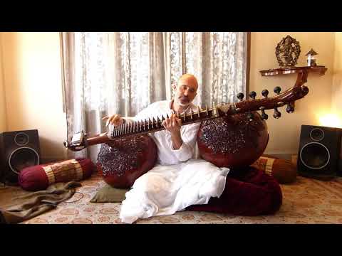 Carsten Wicke - Raga Madhuvanti - Rudra Veena - Rudra Vina, Nadachakra Dhrupad Festival 15th Jan 21