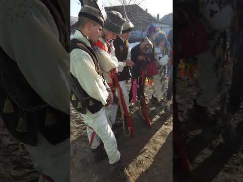 Trupa Baltati, Tatarani, Vaslui 1-01-2019