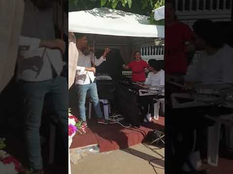 George Nicolae - Sistem bulgăresc New 2020