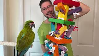 BIGGEST TOY for the BIGGEST MACAWS!