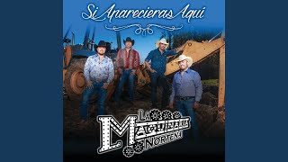 Si Aparecieras Aquí