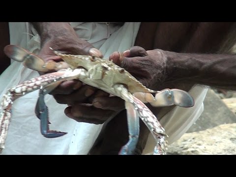 滝のそばで作る、最初の蟹料理 のサムネイル
