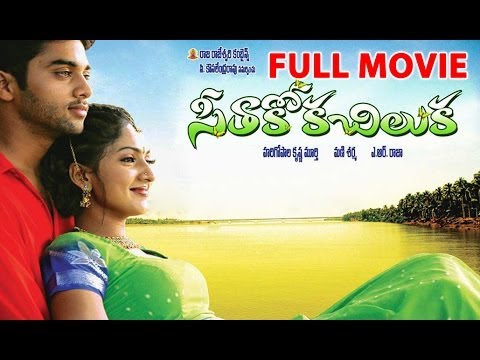 Seethakoka Chiluka Full Movie