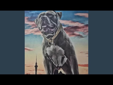 You like that (feat. Sir.T)