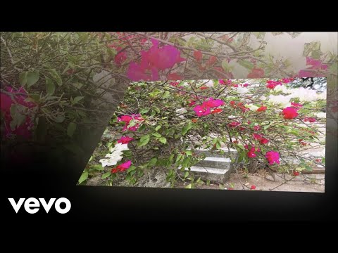 Los Invasores De Nuevo Leon - Amor a La Ligera