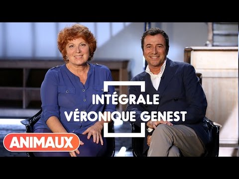 Véronique Genest dans Animaux Stars (intégrale) - Animaux