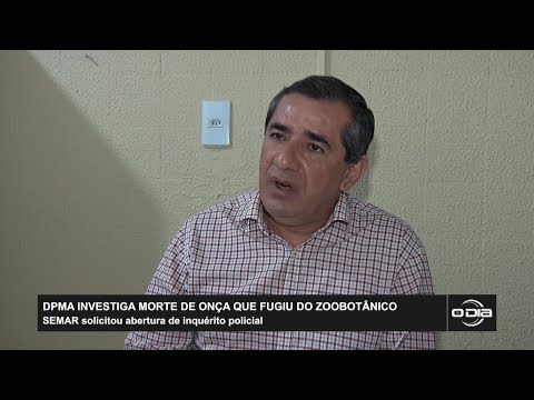SEMAR solicita abertura de inquérito policial sobre morte de onça fugida do Zoobotânico 06 02 2023