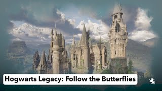 Follow The Butterflies   |    Troll Control   |   HOGWARTS LEGACY