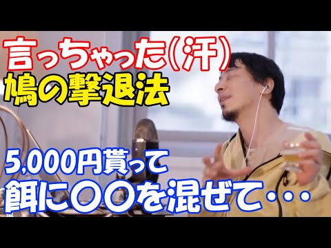 ハトを追い払う、バルコニー、屋根、窓、庭、桜、灰色の鳥、トリック、トリック