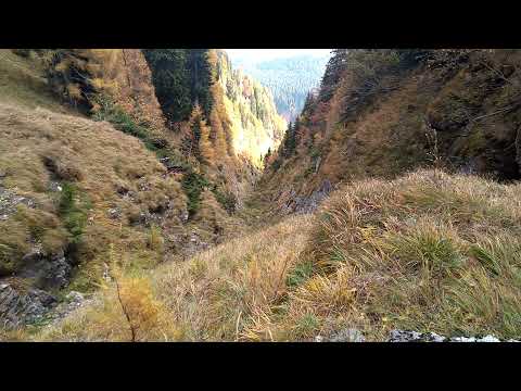 BRANA LUI RADUCU DIN BUCEGI IESIREA DIN VALEA COMORILOR