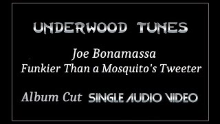 Joe Bonamassa ~ Funkier Than a Mosquito&#39;s Tweeter (Ike &amp; Tina cover) ~ 2009 ~ Single Audio Video