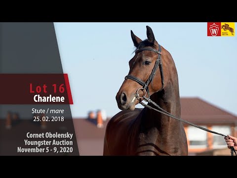 Cornet Obolensky Youngster Auction - Lot 16  Charlene - mare by Cornet Obolensky - World Way