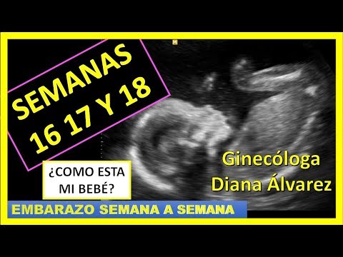 EMBARAZO SEMANA A SEMANA, SEMANA 16 A 18, POR GINECOLOGA DIANA ALVAREZ