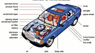 Alto 800  body parts