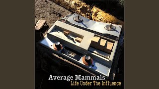 Late Night Conversations