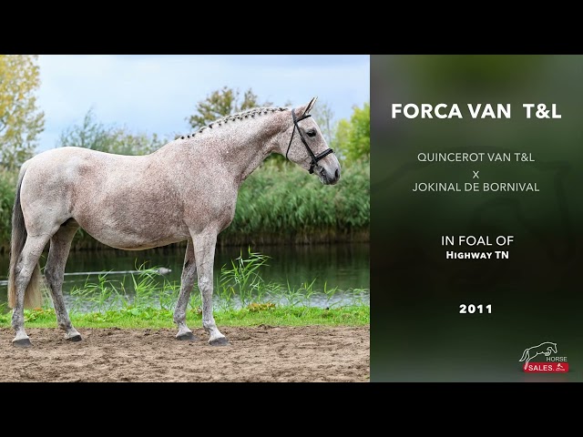 Forca van T&L