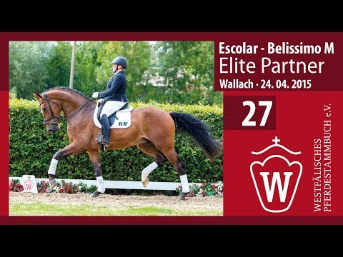 27 Elite Partner  Wallach v. Escolar - Belissimo