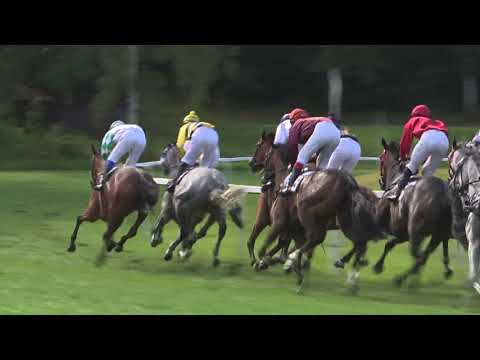 KV, 26. 7. 2020, 7. dostih - Cena TURFMANŮ HIPODROMU HOLOUBEK