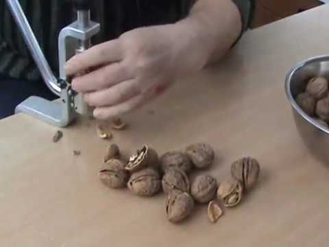 Орехокол механический / Горіхокол механічний