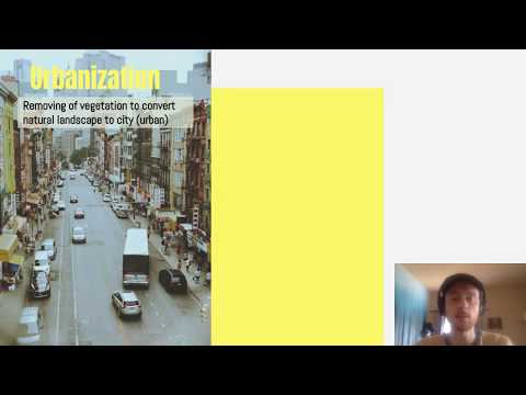 APES Video Notes for 5.10 - Urbanization