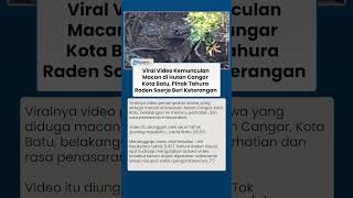 Viral Video Kemunculan Macan di Hutan Cangar Kota Batu, Pihak Tahura Raden Soerjo Beri Keterangan
