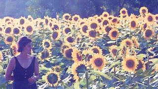 PERRY BLAKE ~ Ordinary Day (album version) {HQ 24bit V Remaster} -w/ Lyrics-