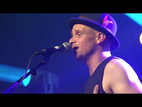 Blues in Zyfflich 2018