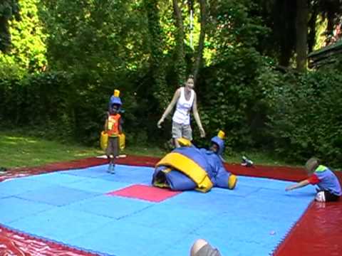 Sportfreunde Harteck Sommerfest 27.07.2008 (04)