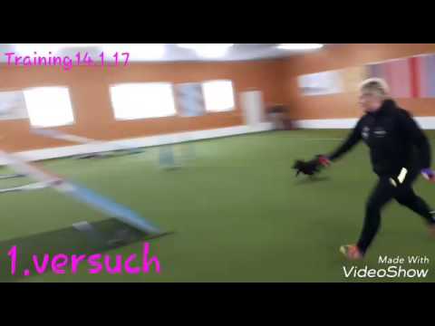 14.1.17 Training in Mähring.