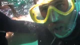 Shark Attack In New Caledonia