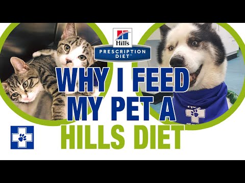 What Should You Feed Your Pet For Optimum Health?