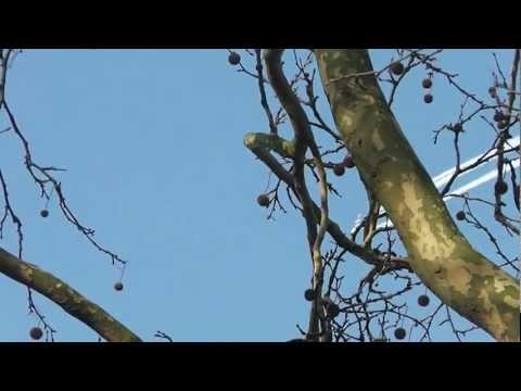 vliegtuig in de lucht deel 1 !!!!!