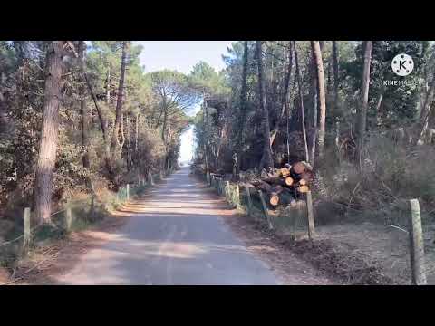 Marina Romea Beach Ravenna Italy