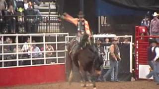 Get off of my back~ Bronc Horses
