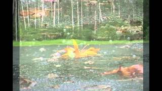 Another Rainy Day music video (Steve Kohl)