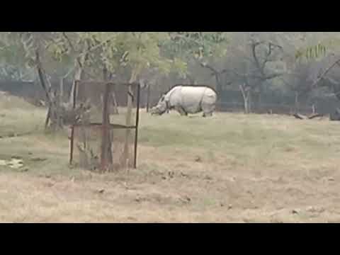 Sayad mobile ki duniya m log bhool gye h asli animal dekhna 